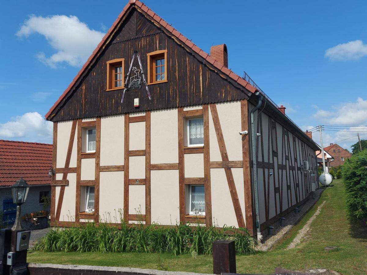 Zacisze 13 Apartment Leśna Exterior foto